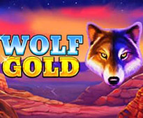 Wolf Gold slot